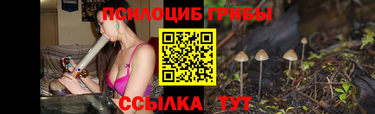 Дальнереченск  Псилоцибиновые грибы Psilocybine cubensis  Вход с VPN 